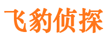 田林资产调查